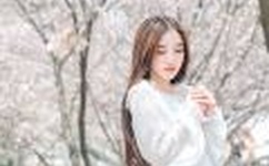 封天印地txt全集下载